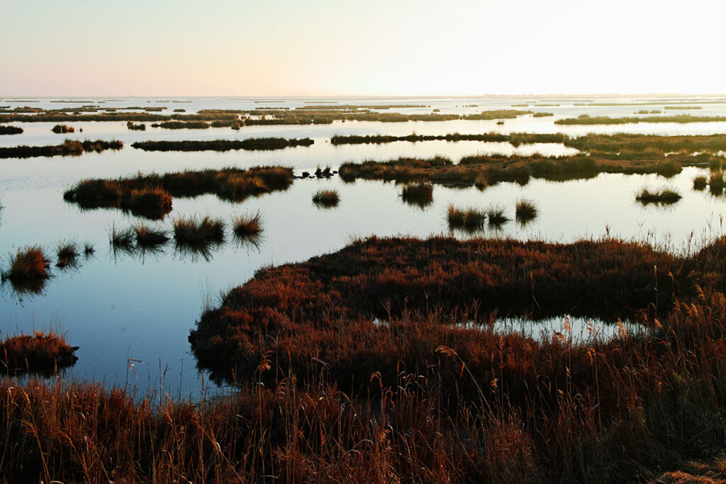 Giralagune: la Laguna di Venezia partendo da Caposile